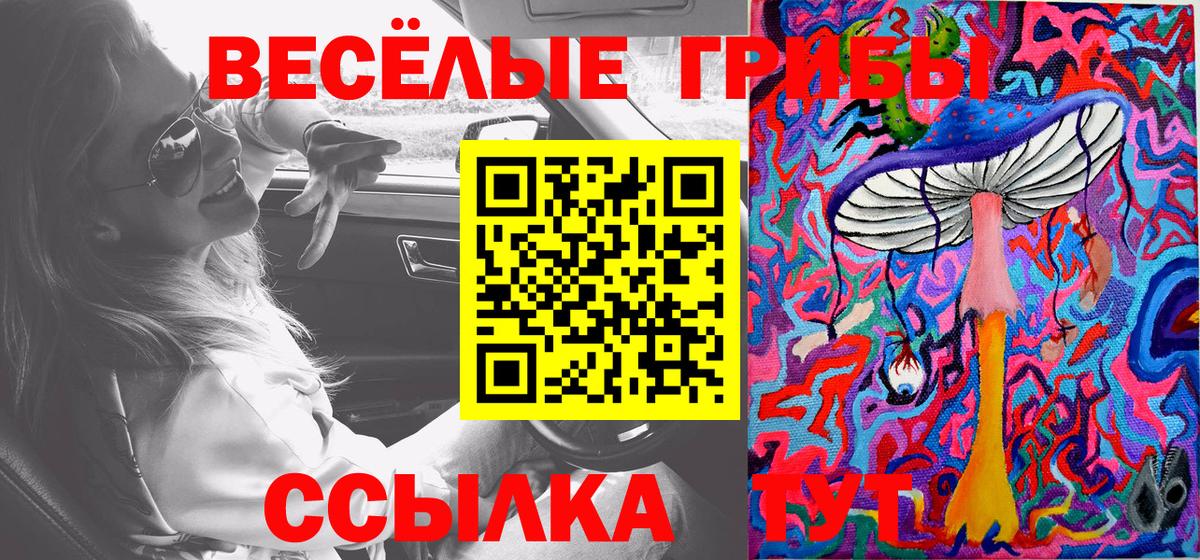 Галлюциногенные грибы Magic Shrooms  Галлюциногенные грибы ЛСД  Вход с VPN  как найти   Клинцы 